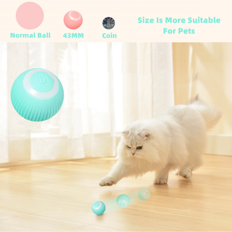 Smart Cat Ball Toys My Store