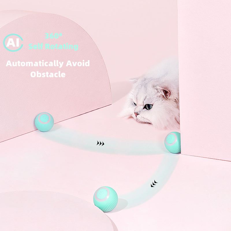 Smart Cat Ball Toys My Store
